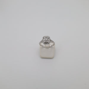 Ring Nr. 040, S 10   .  D .0.48 ct.  G.  VS-SI